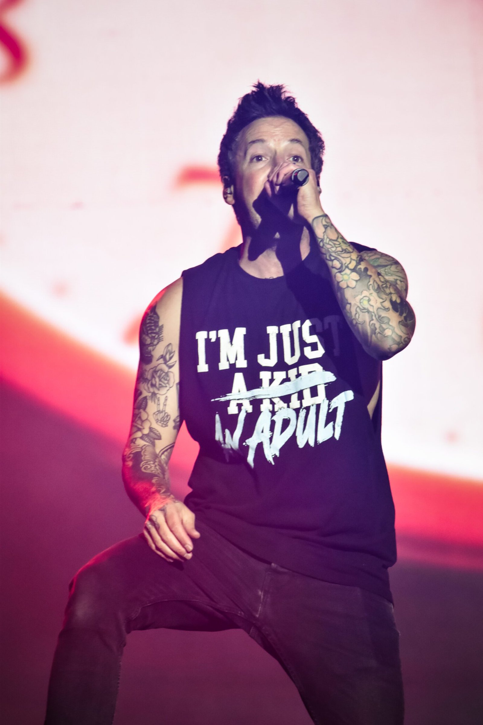 Simple Plan Machaca Fest 2024 - Blvvsh Studio