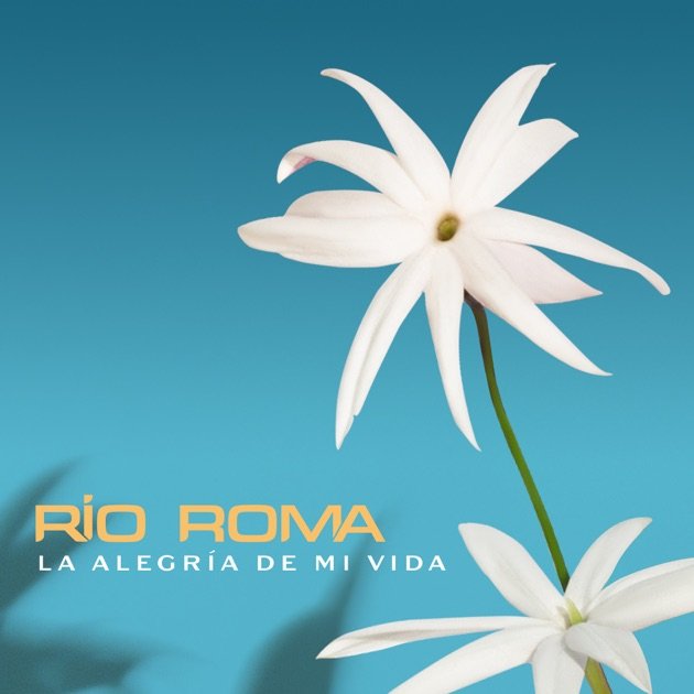 Río Roma - La Alegría de Mi Vida - Blvvsh Studio Design