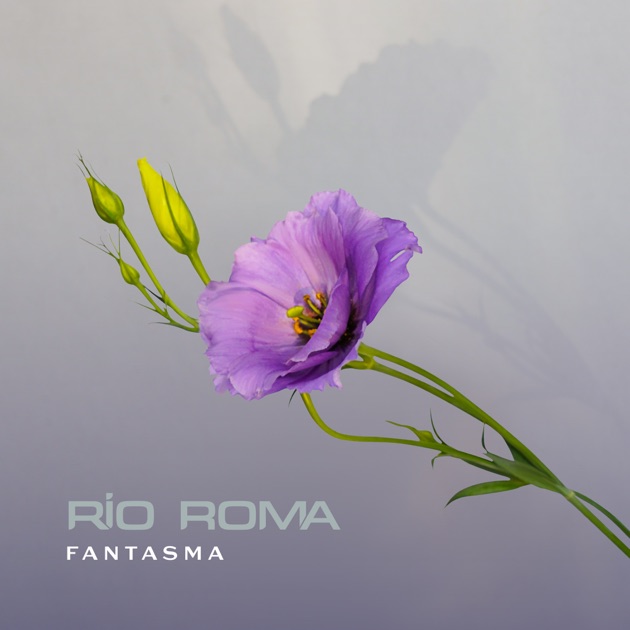 Río Roma - Fantasma - Blvvsh Studio Design