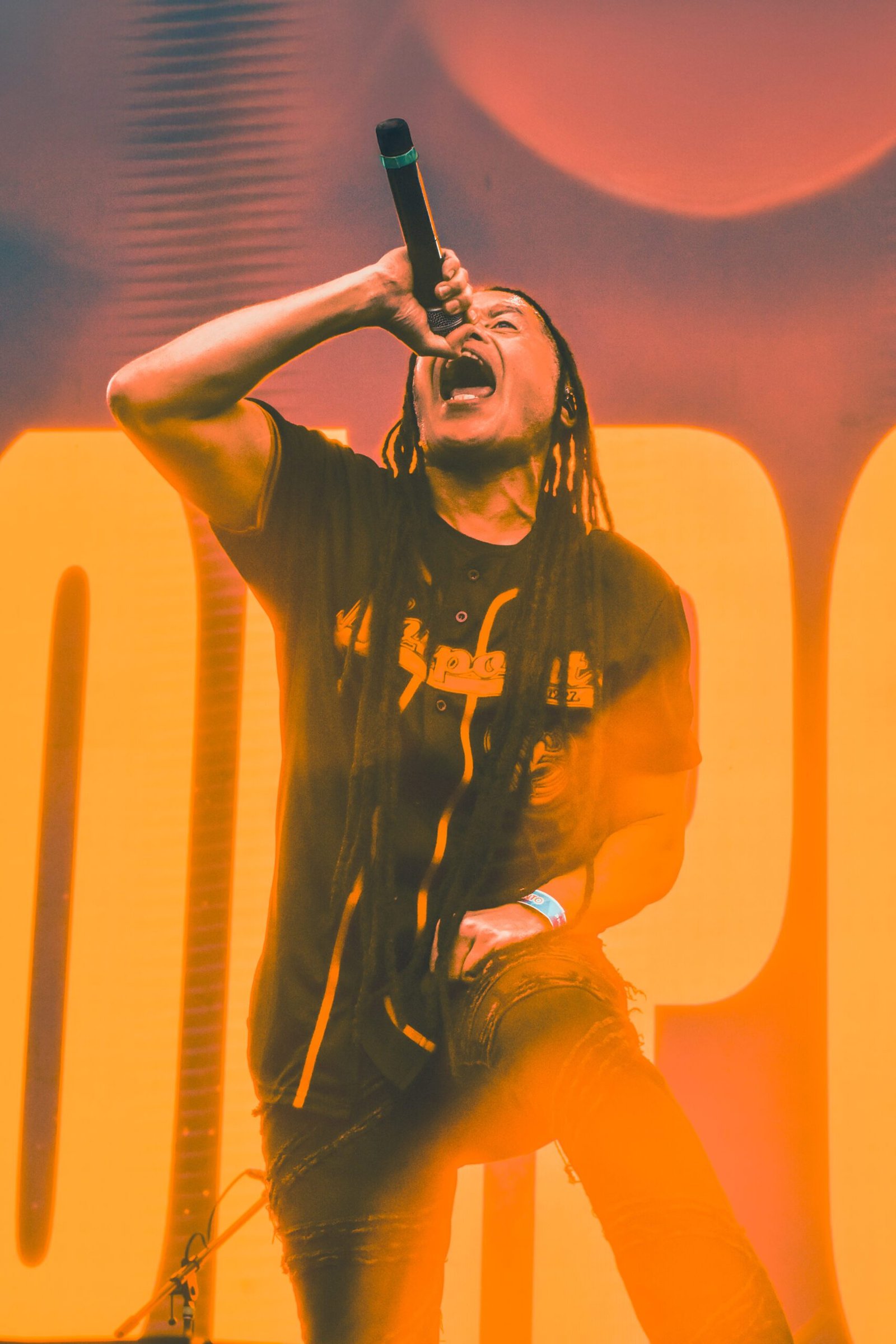 Nu-Metal-Revolution-Vol-2-Velódromo-Olímpico-CDMX-blvvsh-studio