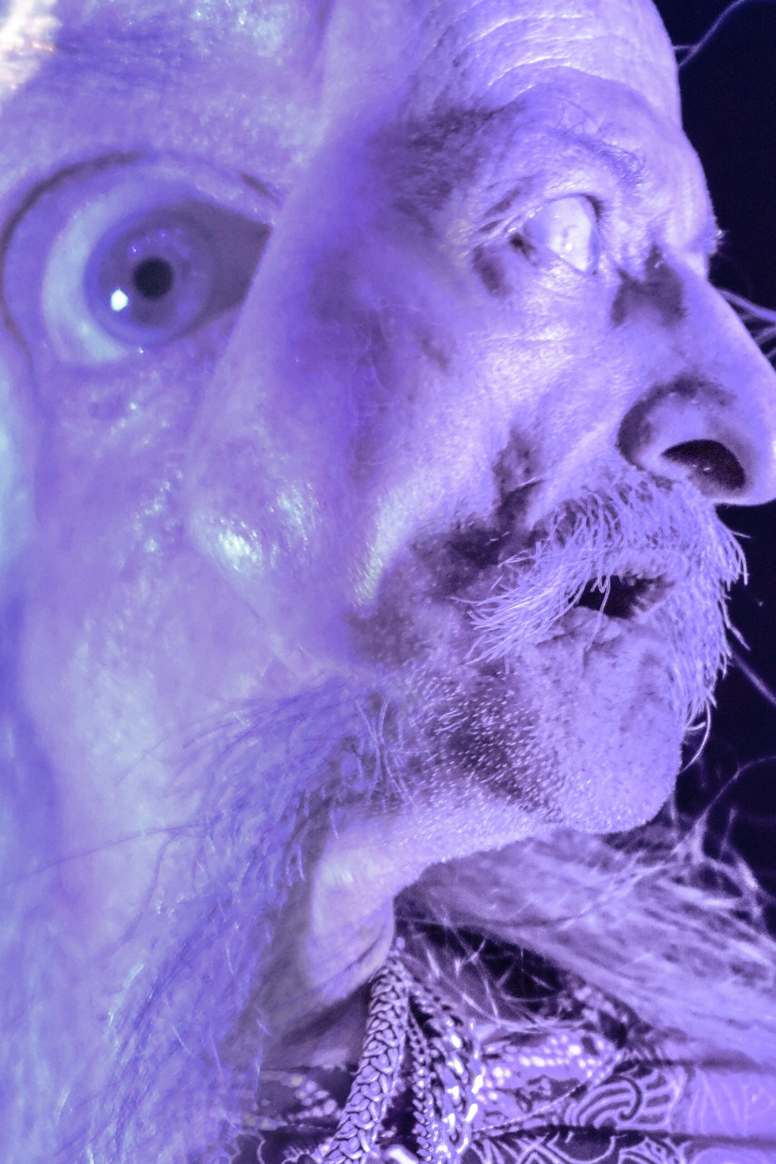Pentagram-circo-volador-cdmx-blvvsh-studio