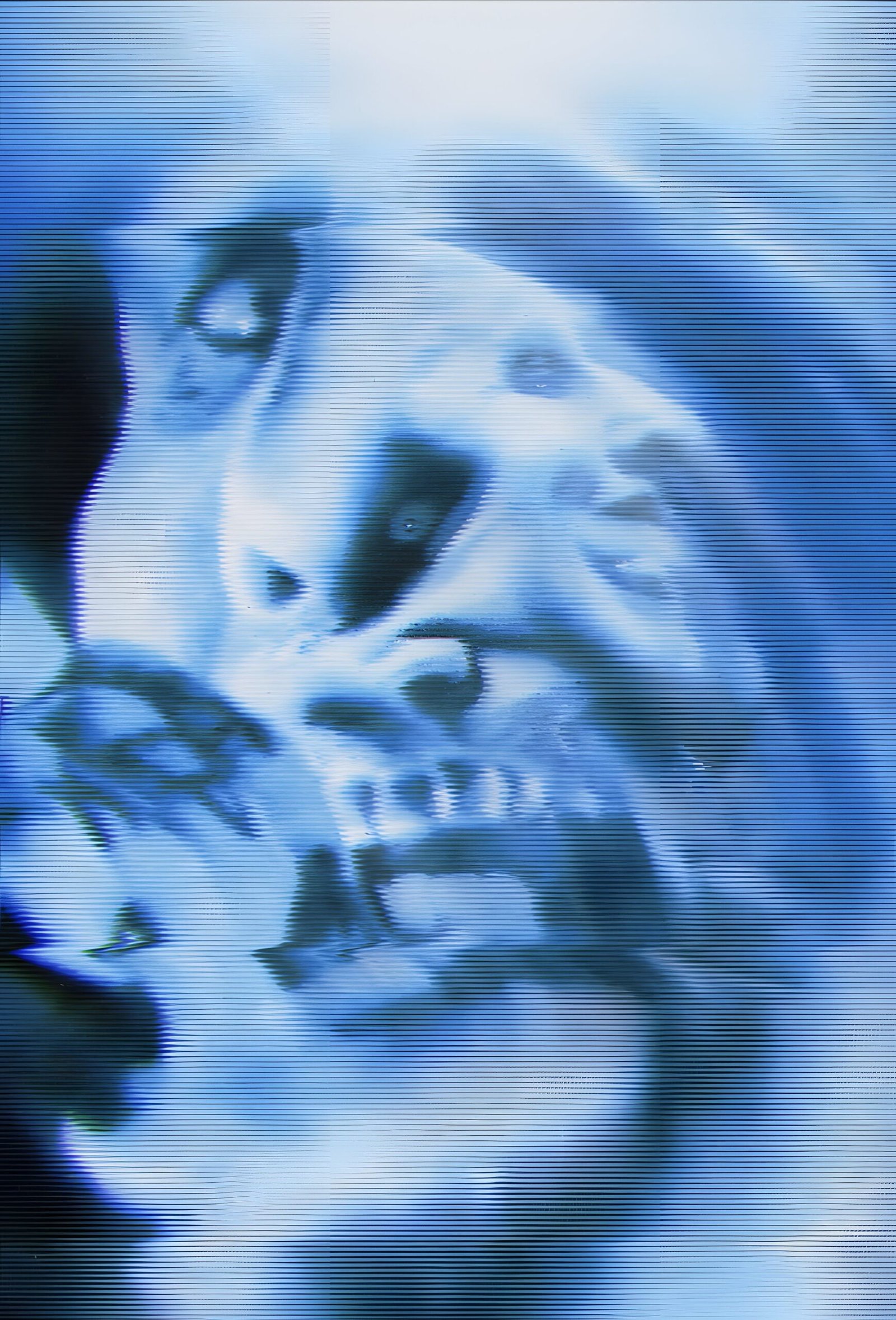 Marilyn Manson Machaca Fest 2024 - Blvvsh Studio